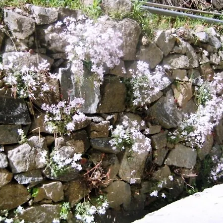 بيت للعطل Flora's House Spilia