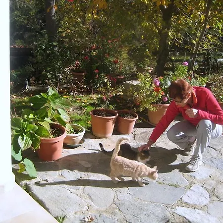 Flora's House * Spilia