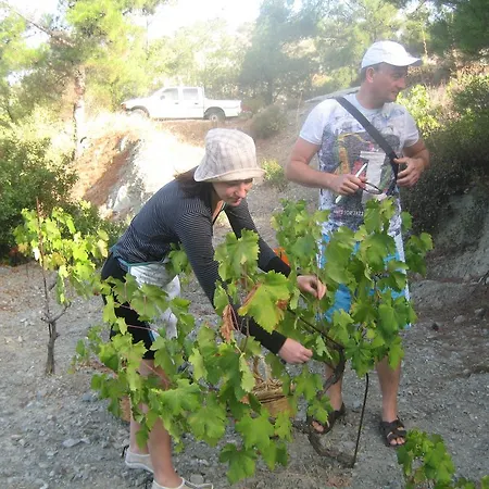 بيت للعطل Flora's House