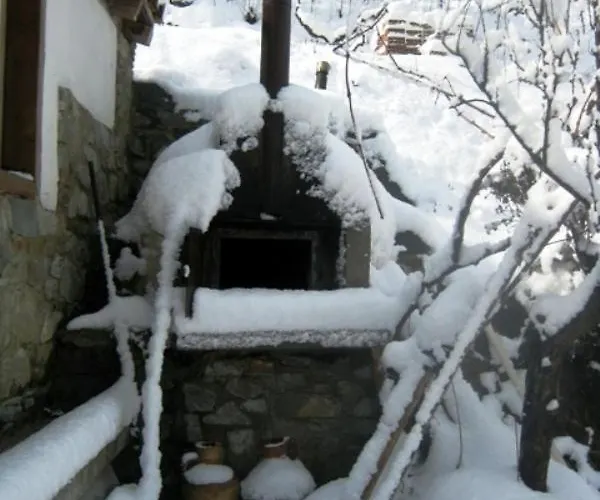 別荘 Flora's House