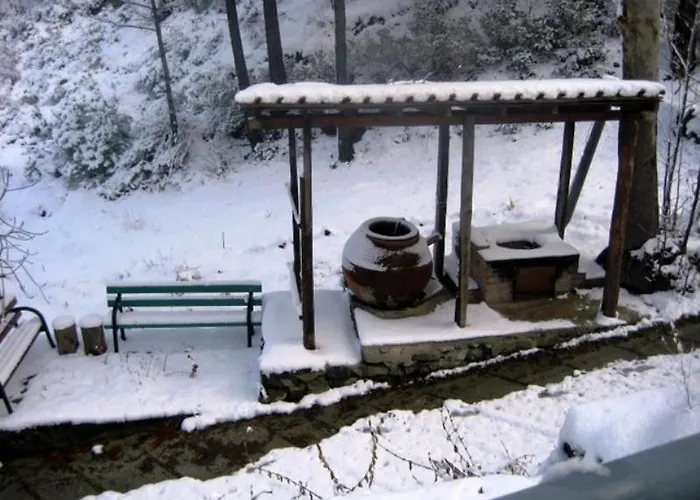 Flora's House 別荘