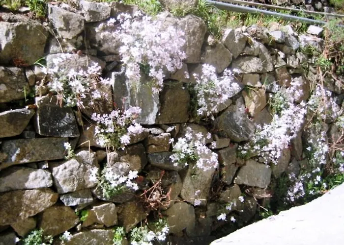 Prázdninový dům Flora's House Spilia