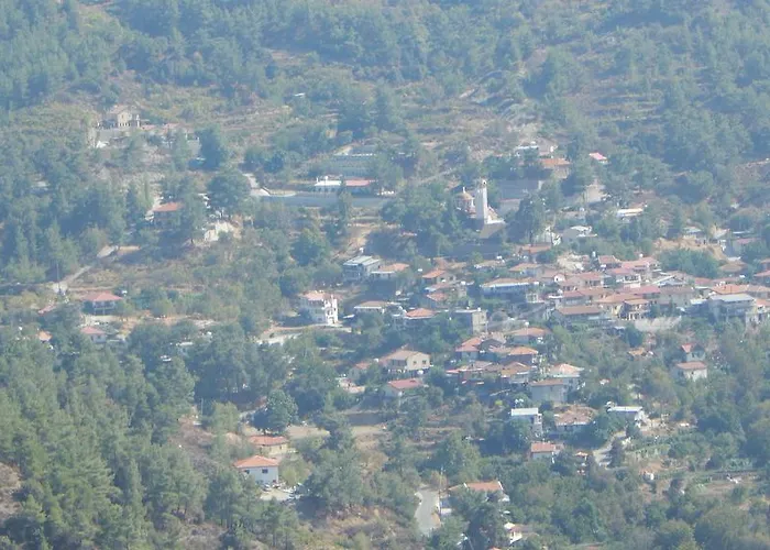 別荘 Flora's House