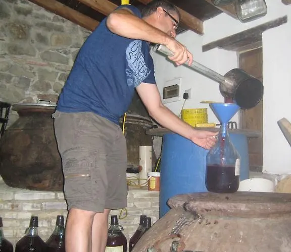 Flora's House 別荘 *