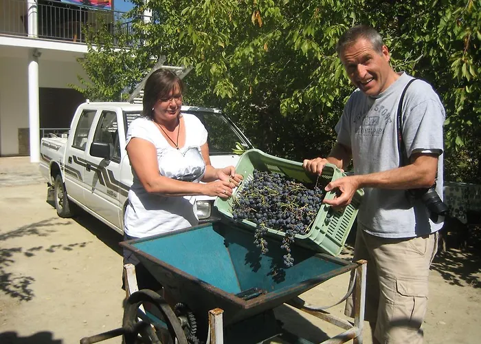 別荘 Flora's House *