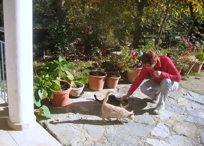 Flora's House * Spilia