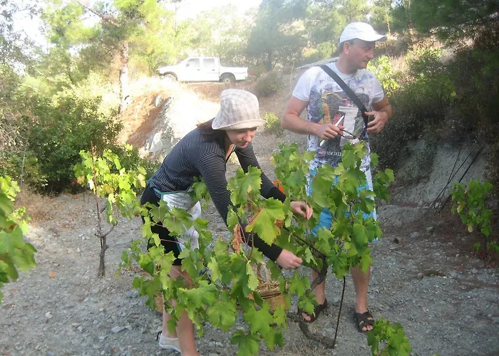 Prázdninový dům Flora's House